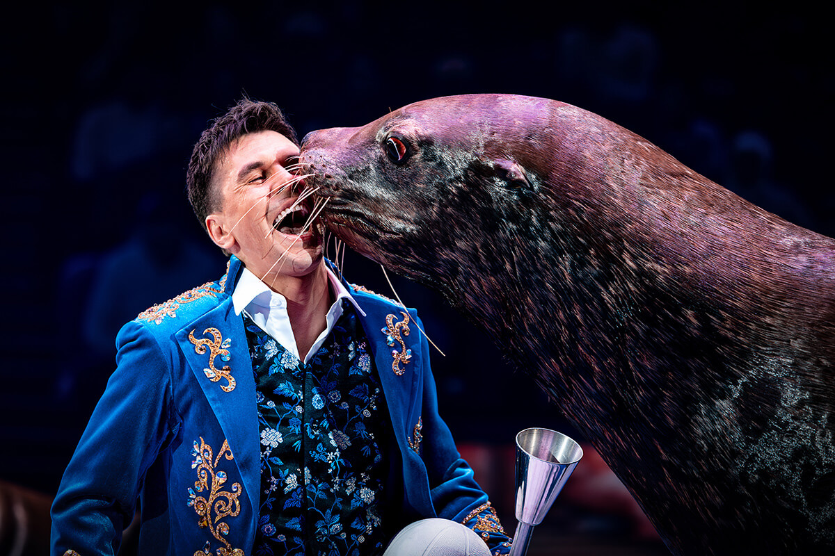 Сказка о Белоснежке и семи гномах